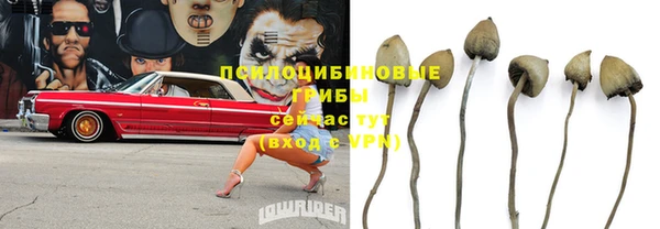 мескалин Арсеньев