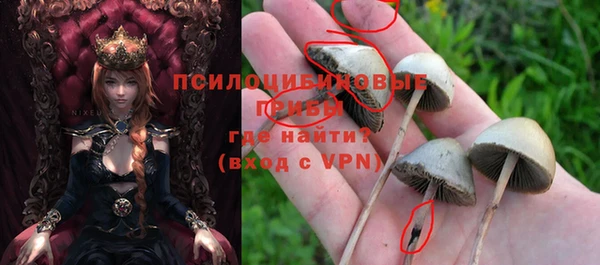 мескалин Арсеньев